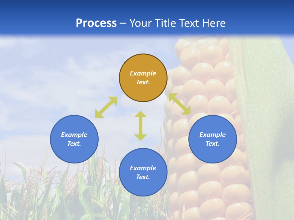 Food Grain Ear PowerPoint Template