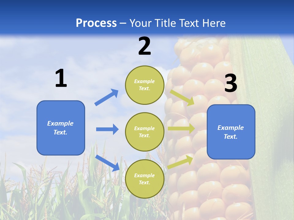 Food Grain Ear PowerPoint Template