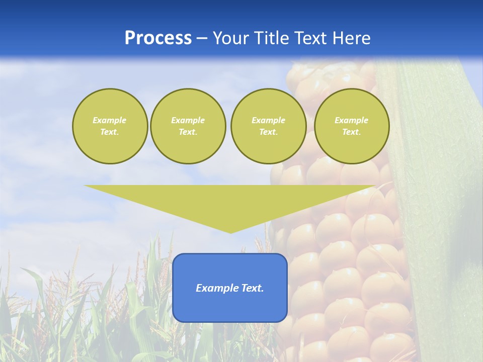 Food Grain Ear PowerPoint Template