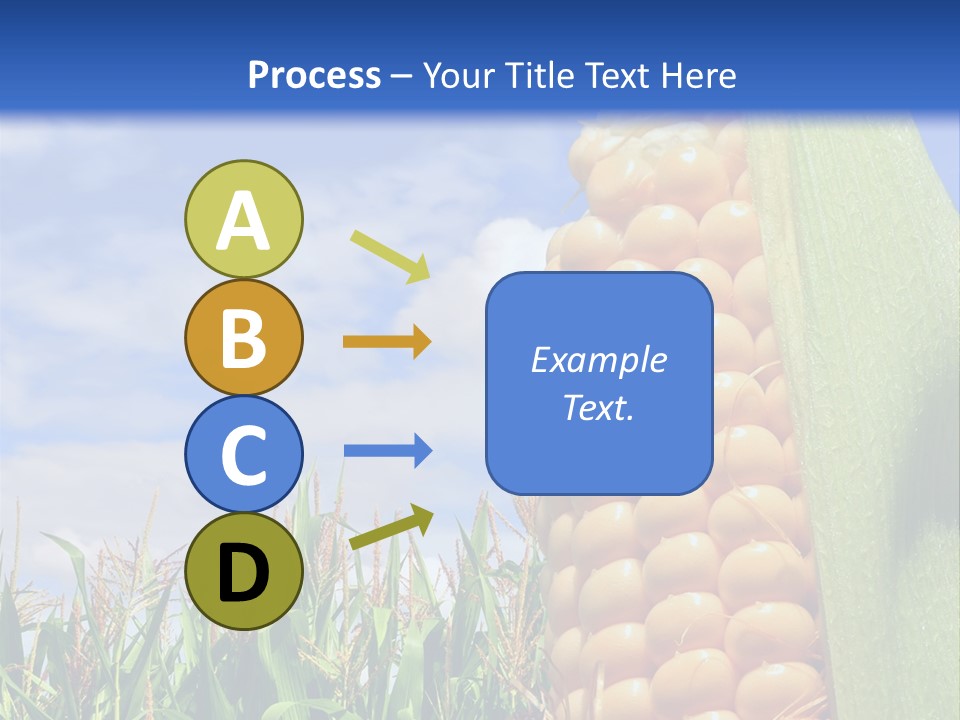 Food Grain Ear PowerPoint Template