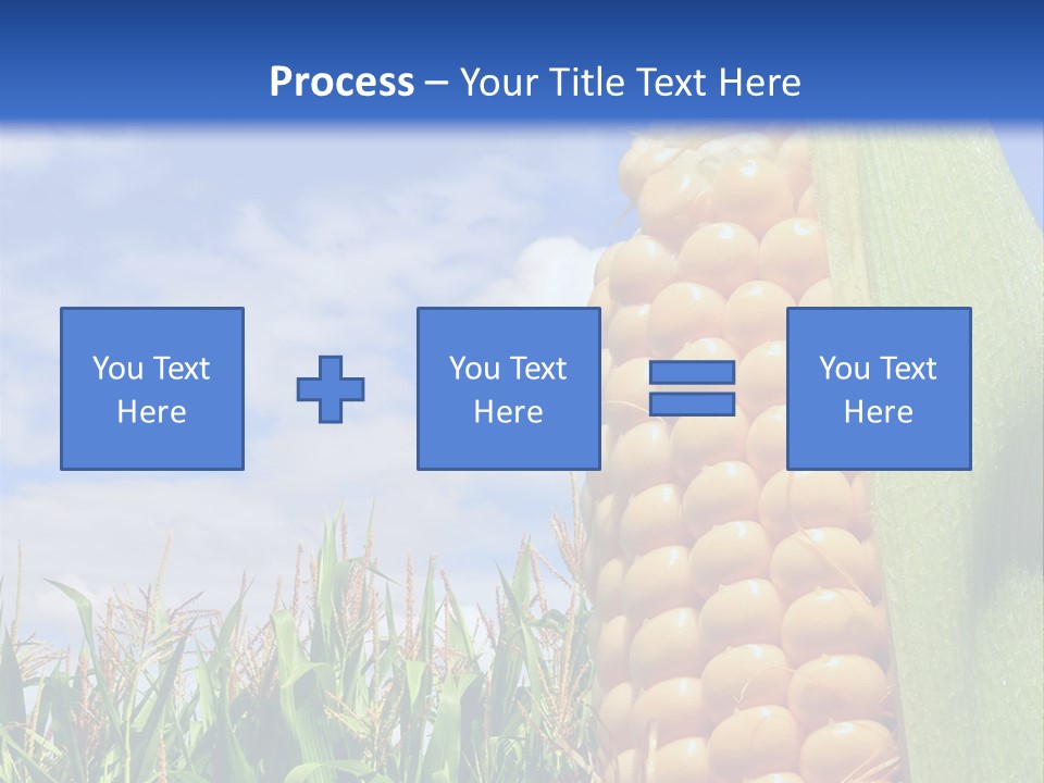 Food Grain Ear PowerPoint Template