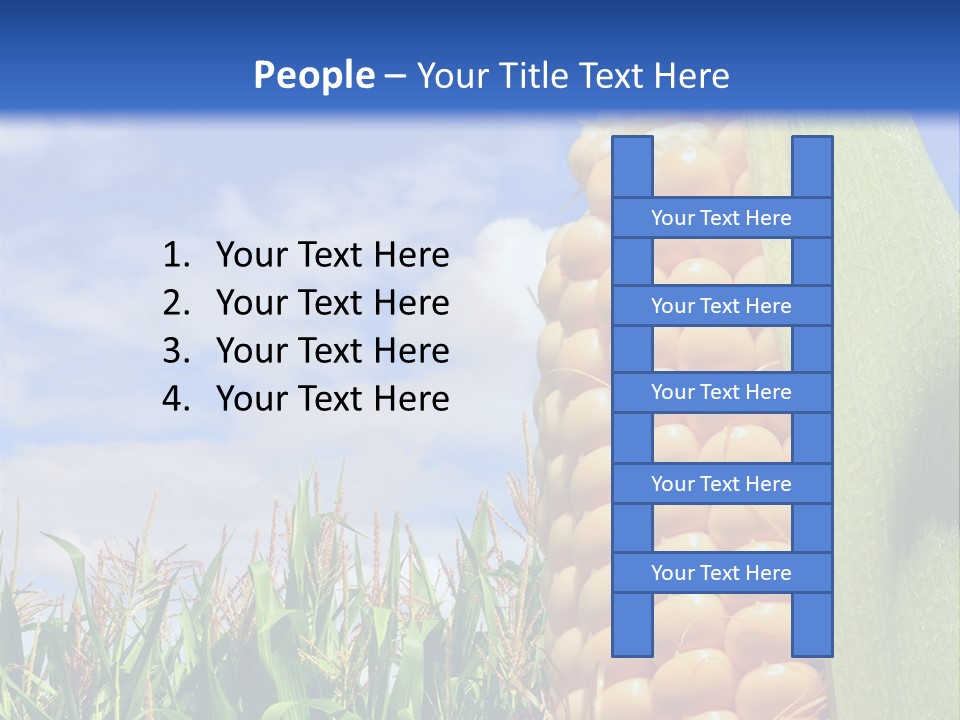 Food Grain Ear PowerPoint Template