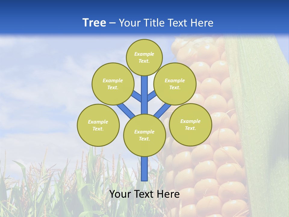 Food Grain Ear PowerPoint Template