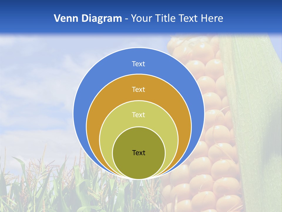 Food Grain Ear PowerPoint Template