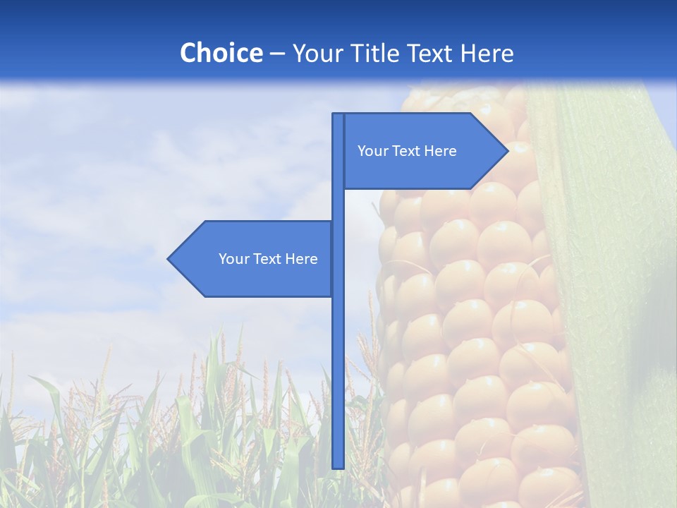 Food Grain Ear PowerPoint Template