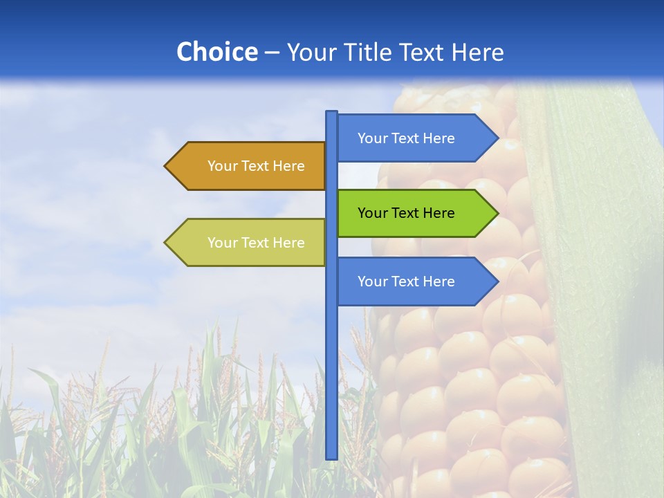 Food Grain Ear PowerPoint Template