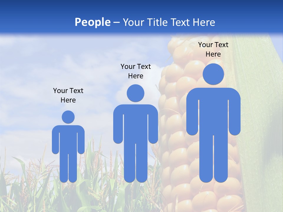 Food Grain Ear PowerPoint Template