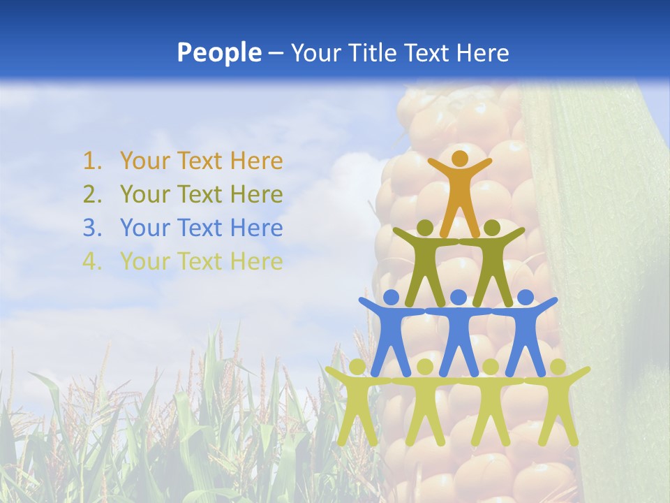 Food Grain Ear PowerPoint Template