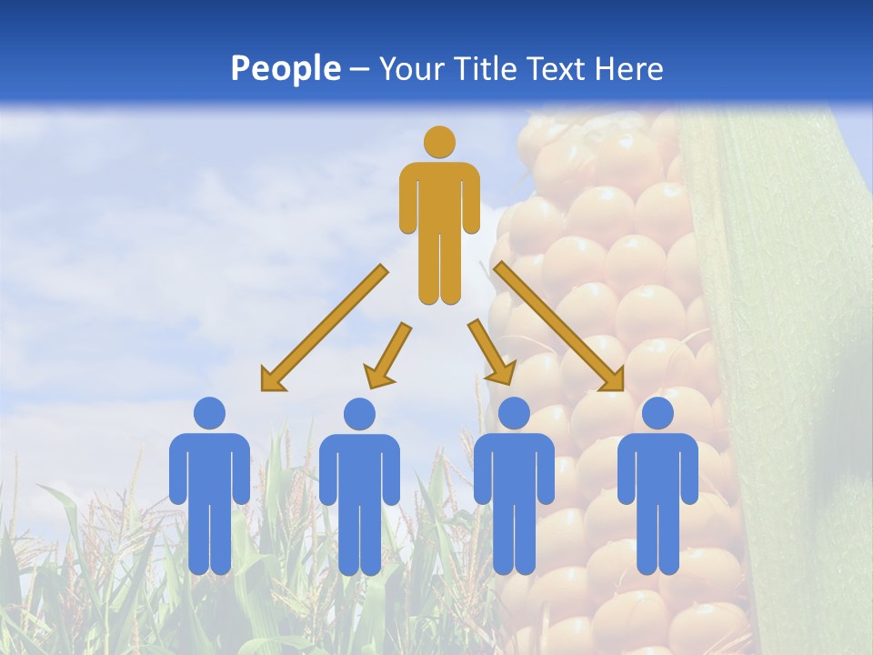 Food Grain Ear PowerPoint Template