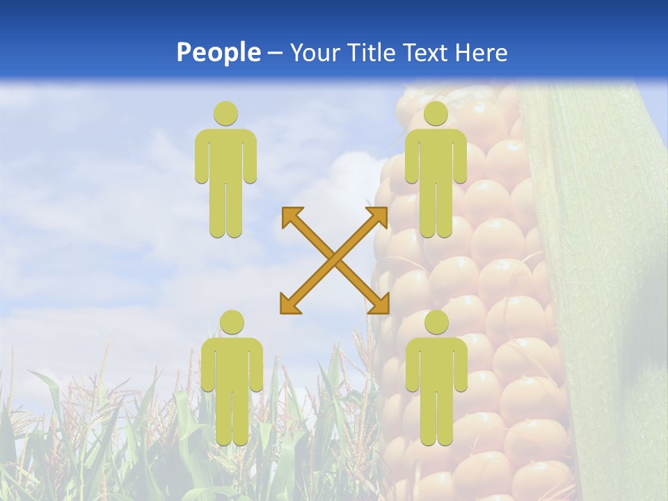 Food Grain Ear PowerPoint Template