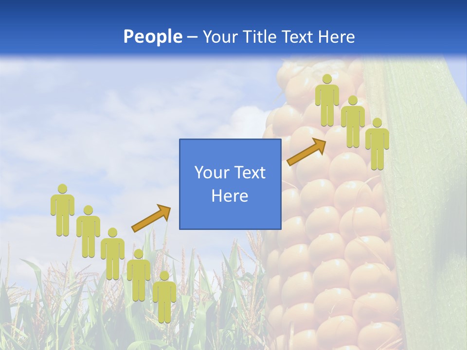 Food Grain Ear PowerPoint Template