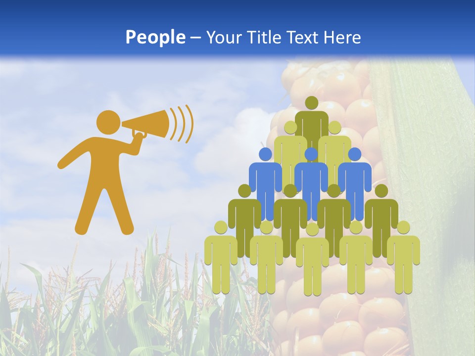 Food Grain Ear PowerPoint Template