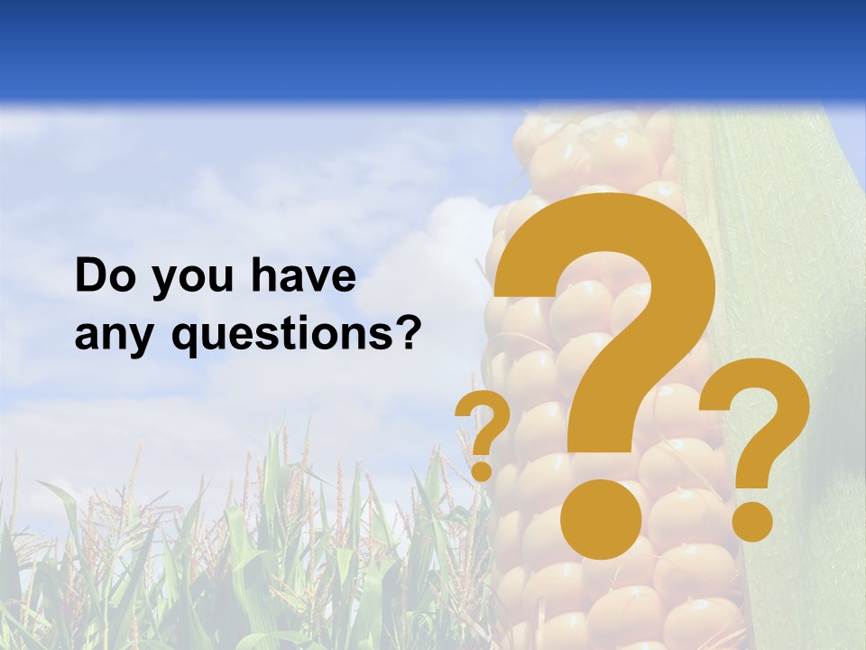 Food Grain Ear PowerPoint Template