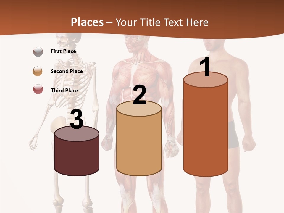 Healthy Lifestyle In A Row Science PowerPoint Template