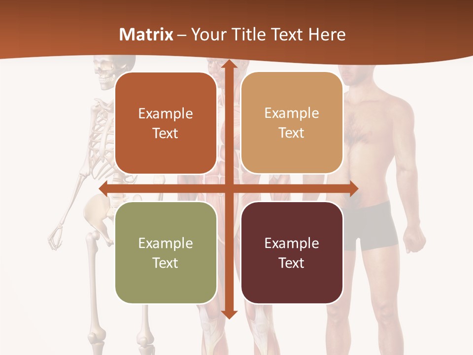 Healthy Lifestyle In A Row Science PowerPoint Template