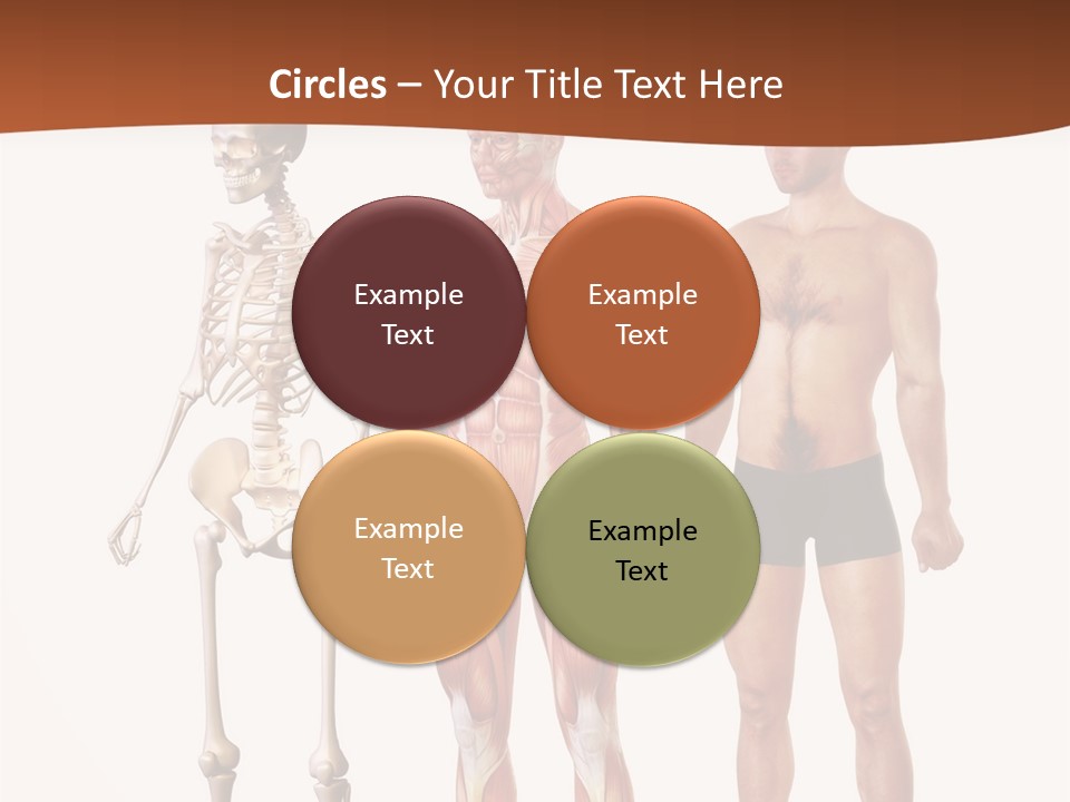 Healthy Lifestyle In A Row Science PowerPoint Template