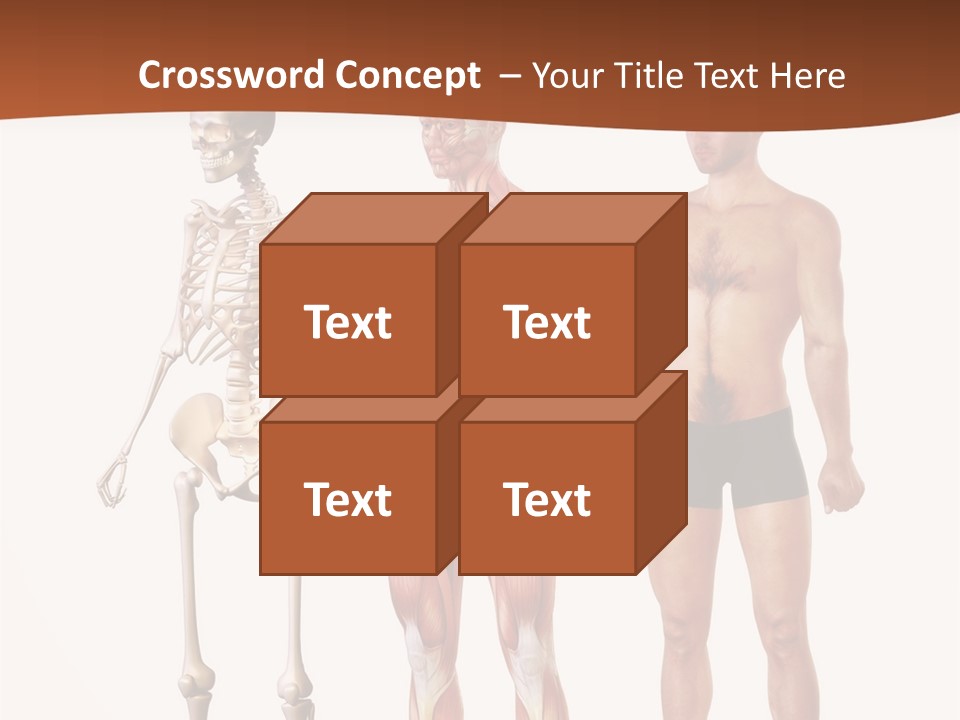 Healthy Lifestyle In A Row Science PowerPoint Template