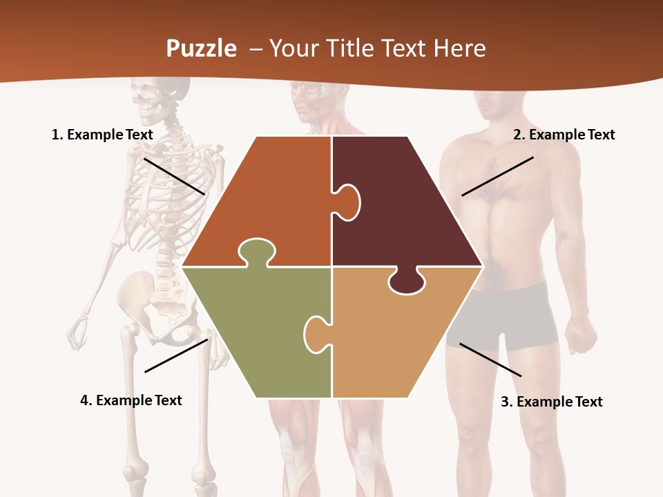 Healthy Lifestyle In A Row Science PowerPoint Template