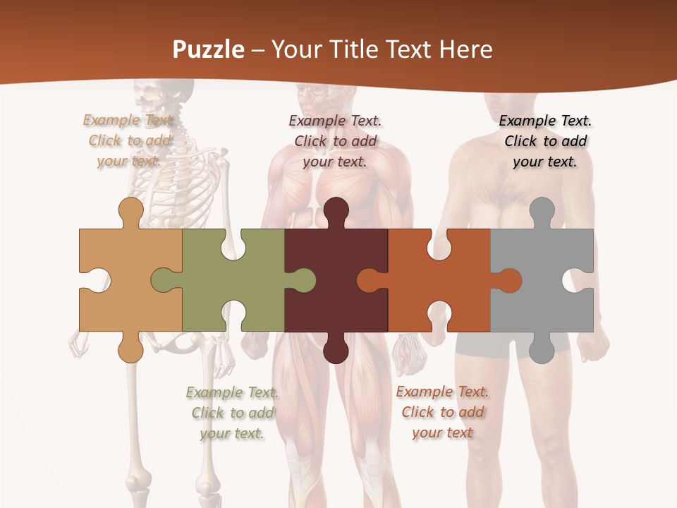 Healthy Lifestyle In A Row Science PowerPoint Template