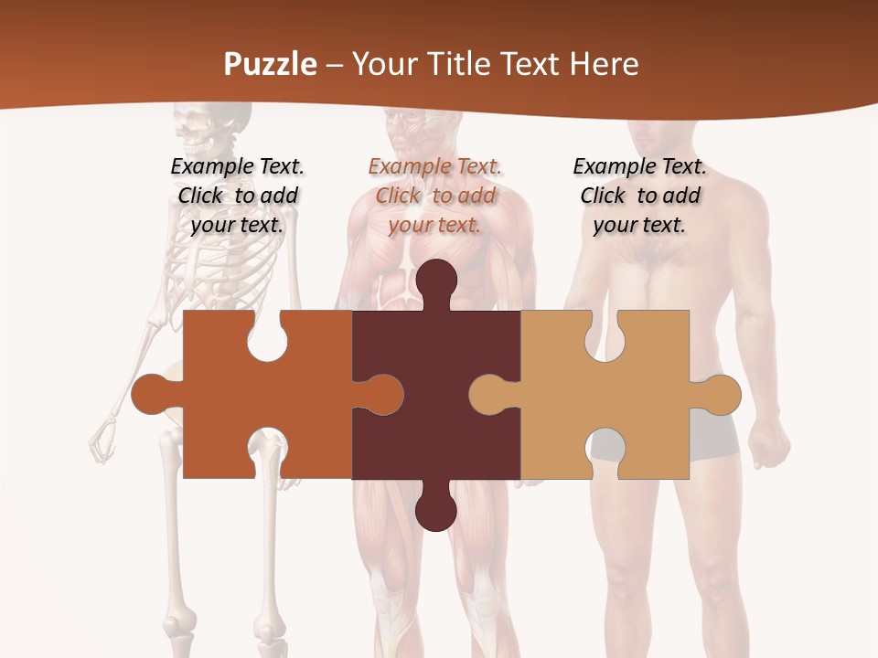 Healthy Lifestyle In A Row Science PowerPoint Template