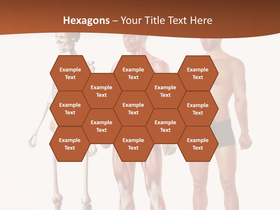 Healthy Lifestyle In A Row Science PowerPoint Template