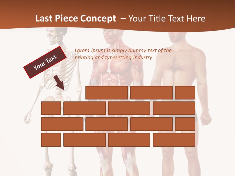 Healthy Lifestyle In A Row Science PowerPoint Template