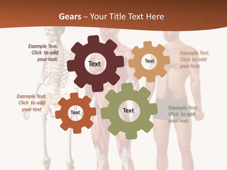 Healthy Lifestyle In A Row Science PowerPoint Template