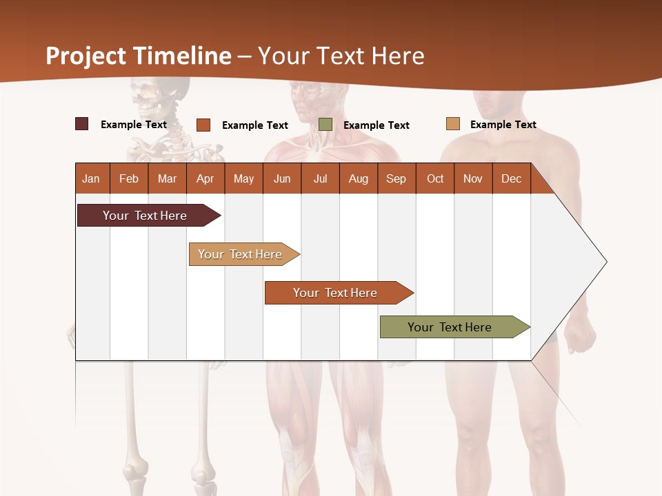 Healthy Lifestyle In A Row Science PowerPoint Template