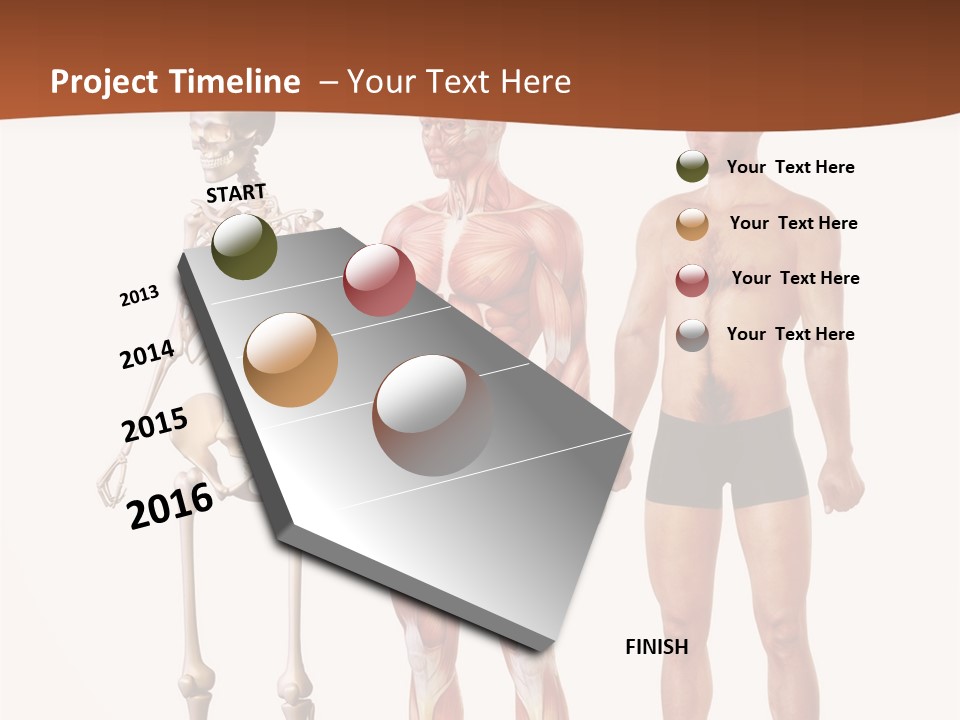 Healthy Lifestyle In A Row Science PowerPoint Template