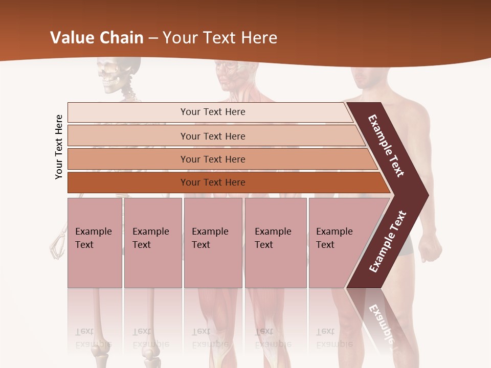 Healthy Lifestyle In A Row Science PowerPoint Template