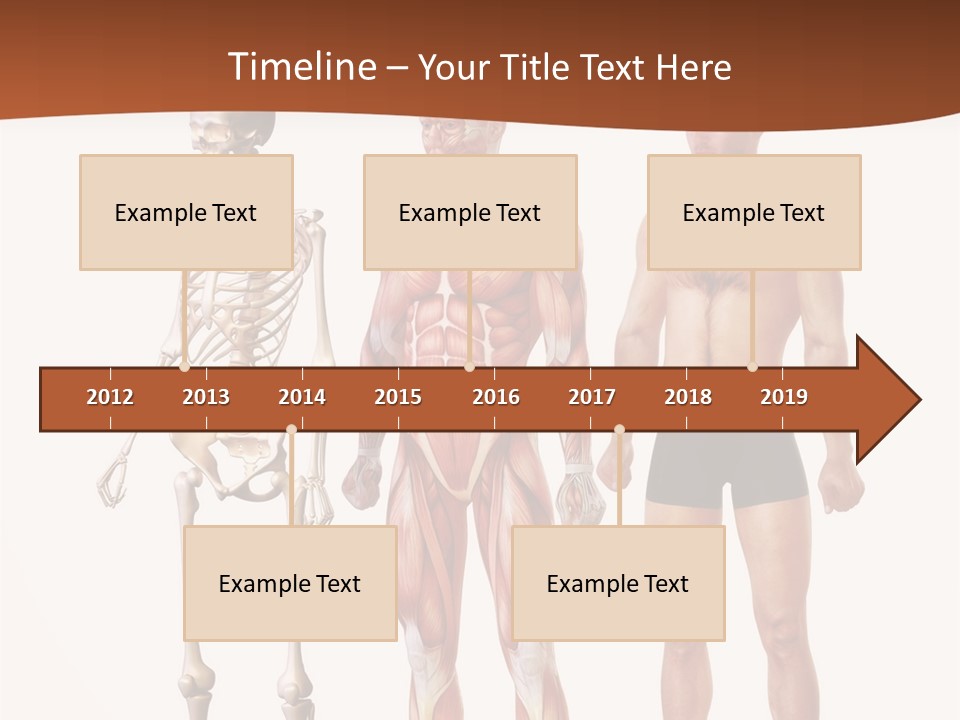 Healthy Lifestyle In A Row Science PowerPoint Template