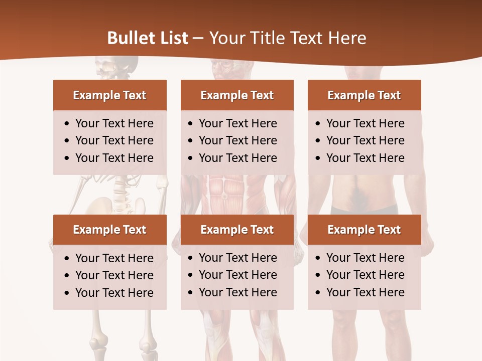 Healthy Lifestyle In A Row Science PowerPoint Template