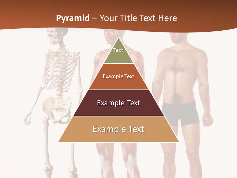 Healthy Lifestyle In A Row Science PowerPoint Template