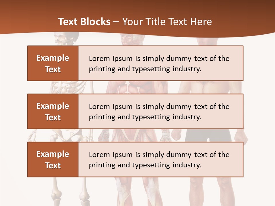 Healthy Lifestyle In A Row Science PowerPoint Template