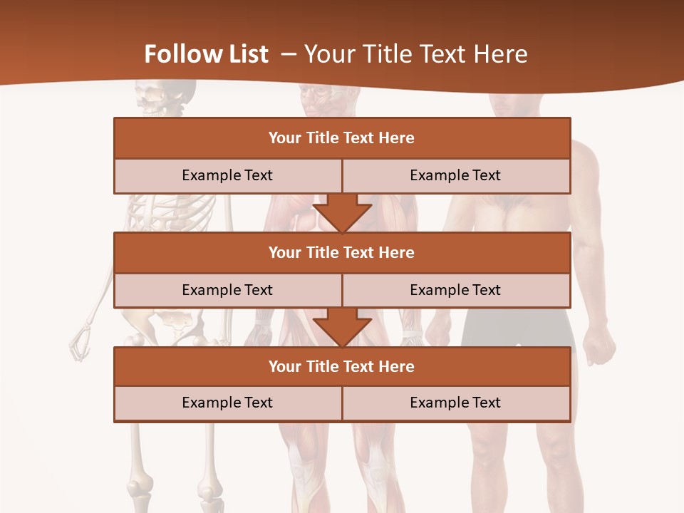Healthy Lifestyle In A Row Science PowerPoint Template