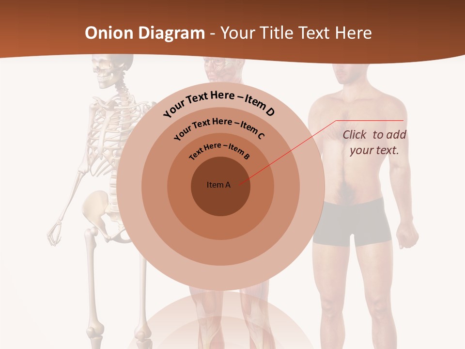 Healthy Lifestyle In A Row Science PowerPoint Template