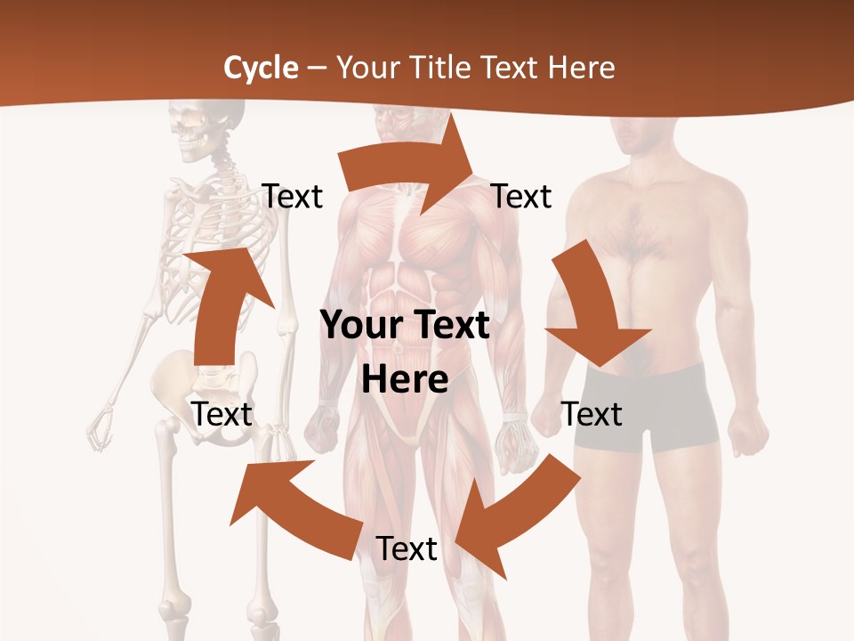 Healthy Lifestyle In A Row Science PowerPoint Template