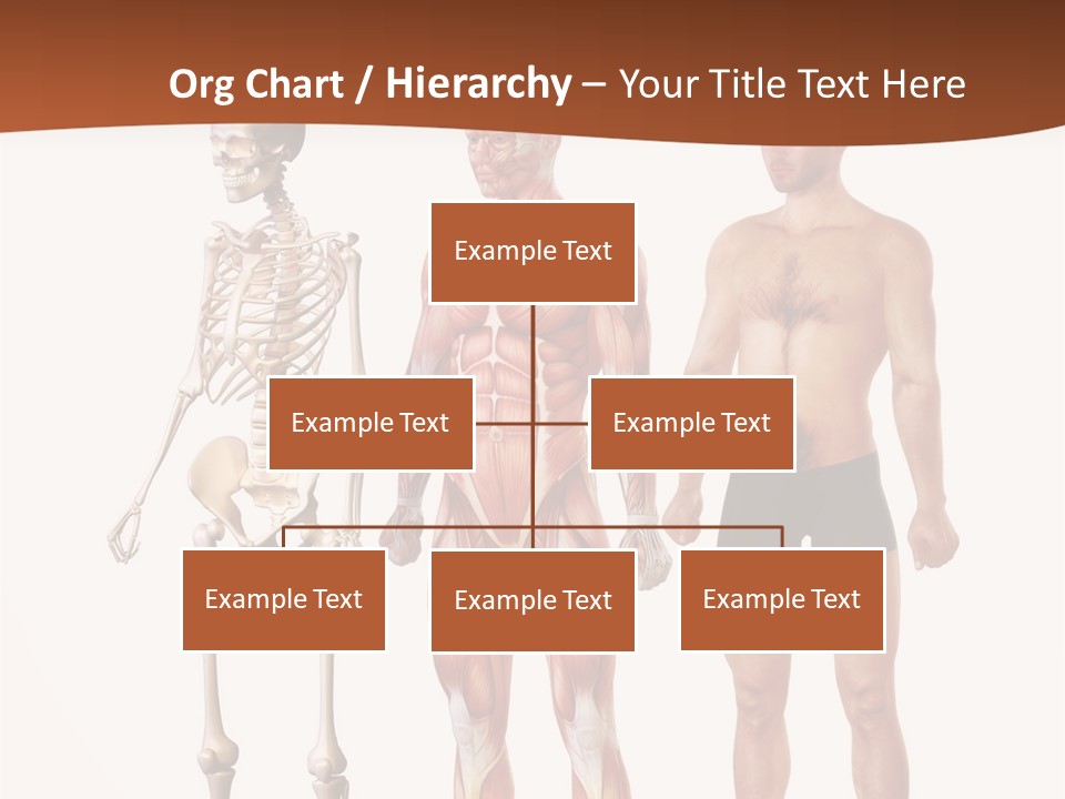 Healthy Lifestyle In A Row Science PowerPoint Template