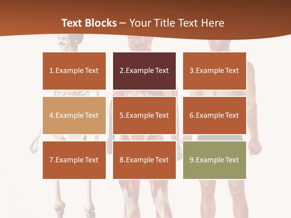 Healthy Lifestyle In A Row Science PowerPoint Template