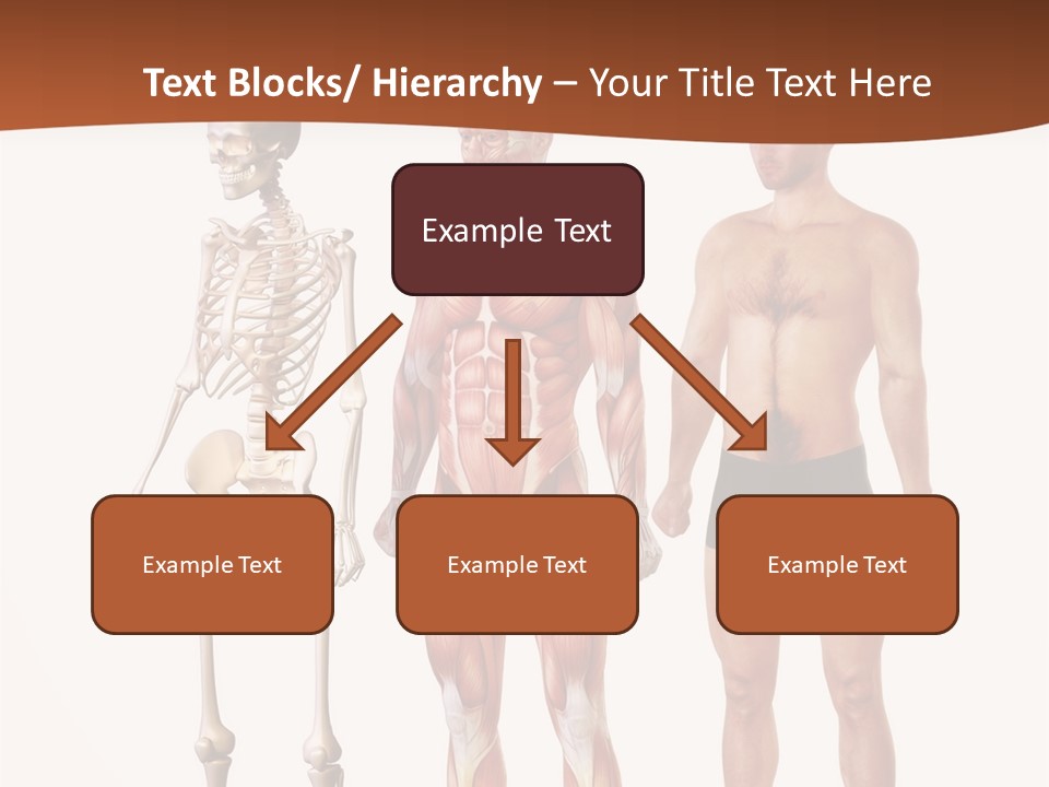 Healthy Lifestyle In A Row Science PowerPoint Template