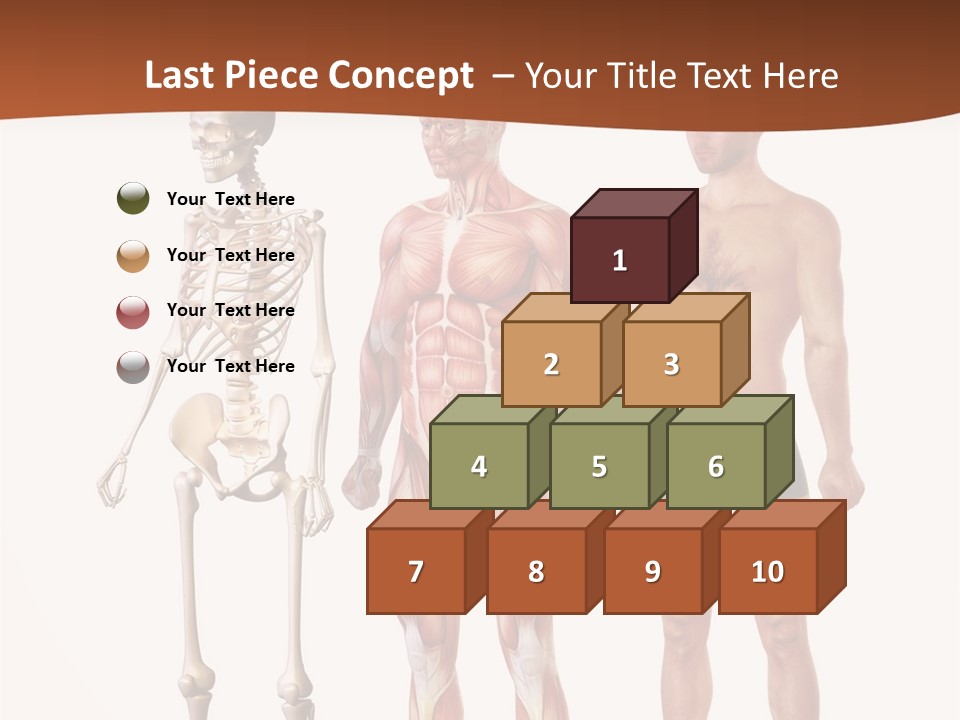 Healthy Lifestyle In A Row Science PowerPoint Template