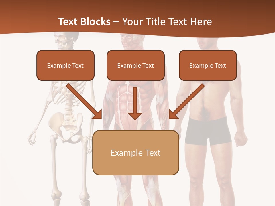 Healthy Lifestyle In A Row Science PowerPoint Template
