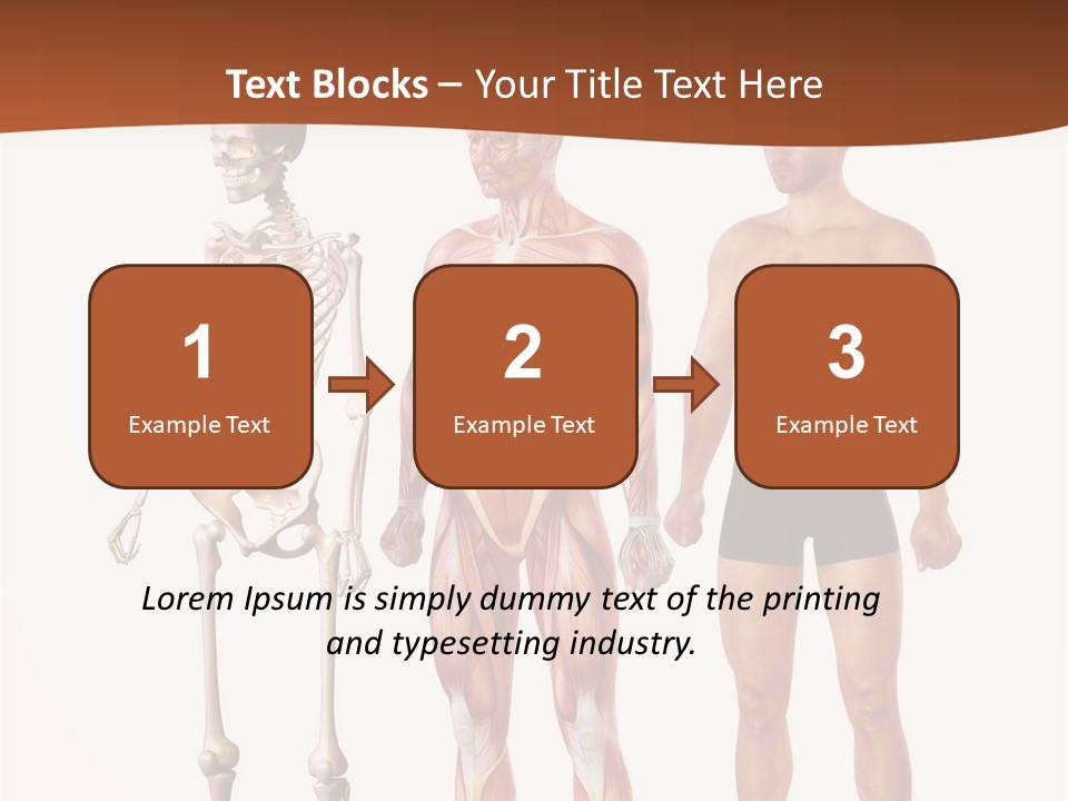 Healthy Lifestyle In A Row Science PowerPoint Template