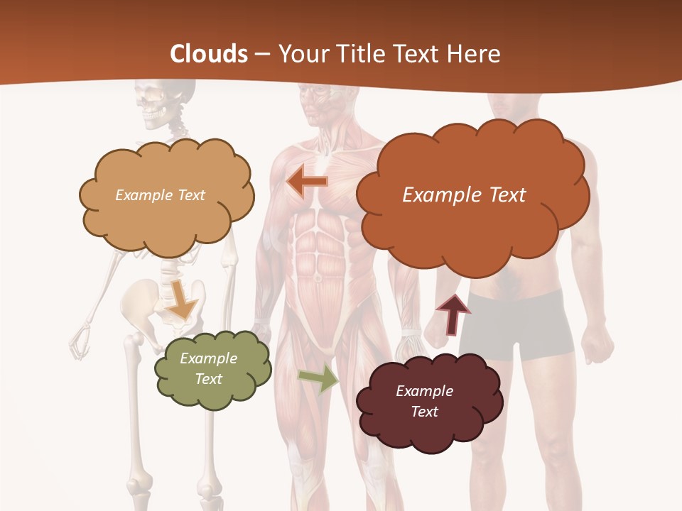 Healthy Lifestyle In A Row Science PowerPoint Template