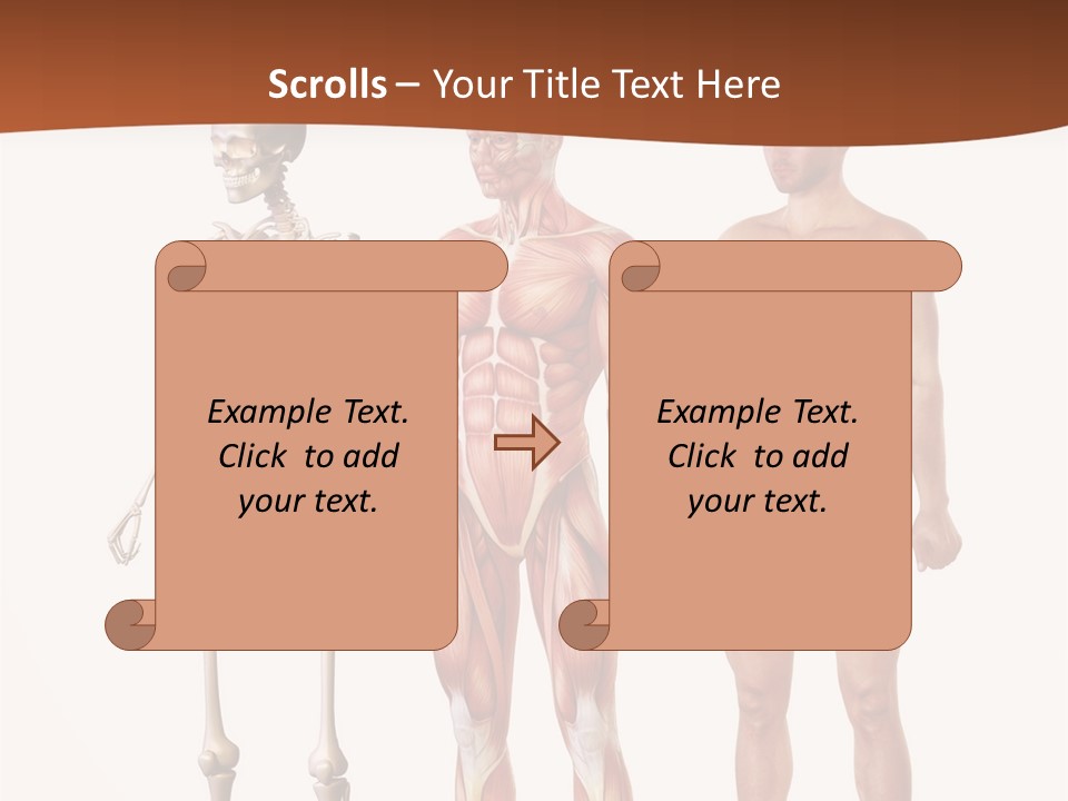 Healthy Lifestyle In A Row Science PowerPoint Template