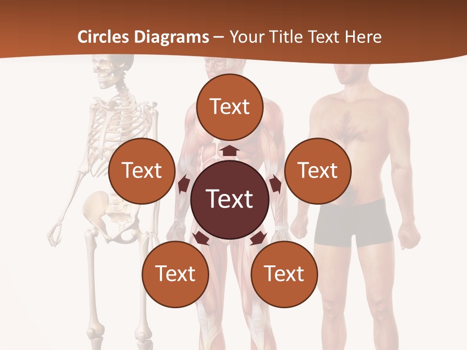 Healthy Lifestyle In A Row Science PowerPoint Template