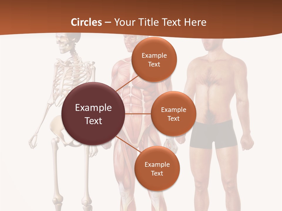 Healthy Lifestyle In A Row Science PowerPoint Template