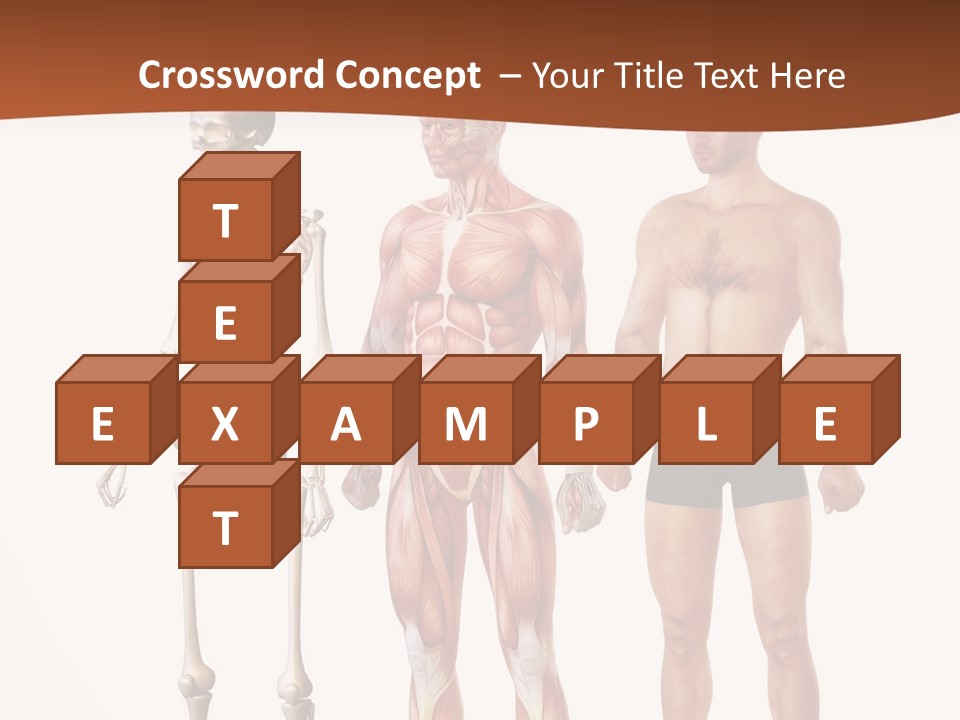 Healthy Lifestyle In A Row Science PowerPoint Template