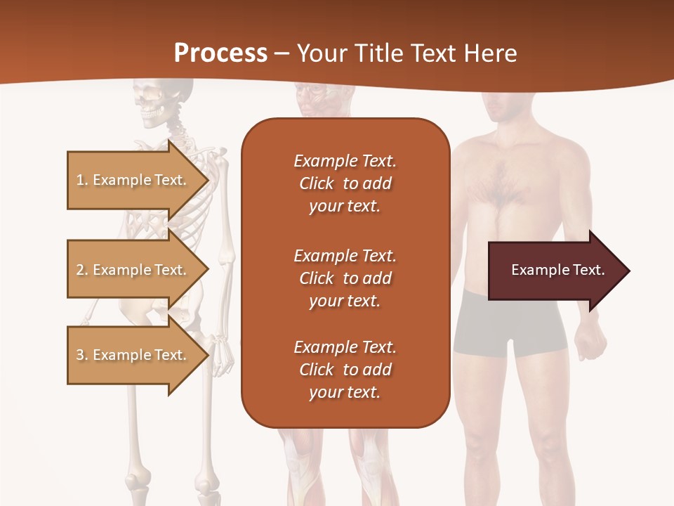 Healthy Lifestyle In A Row Science PowerPoint Template