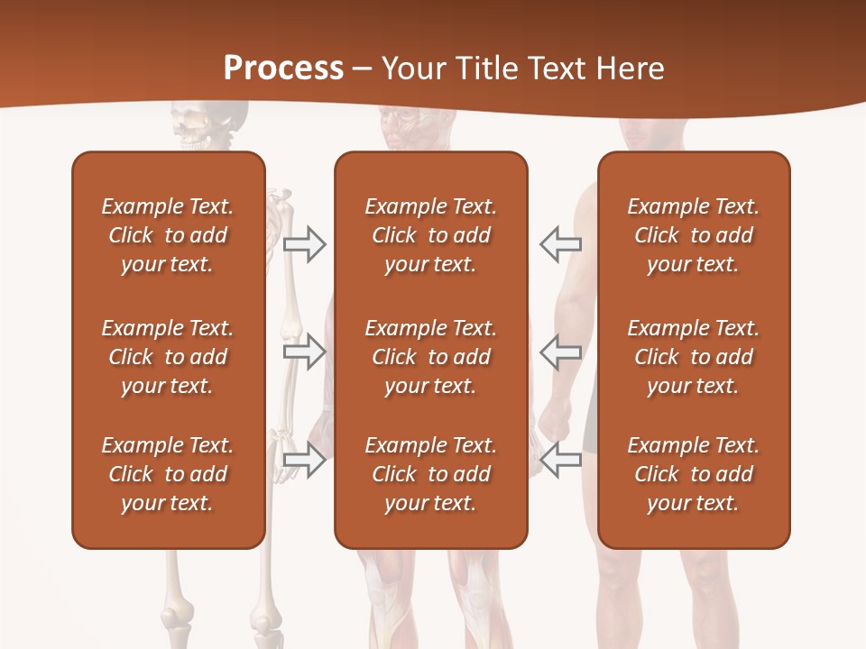Healthy Lifestyle In A Row Science PowerPoint Template